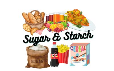Sugar and Starch Addiction