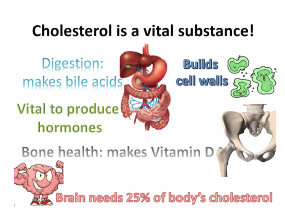 Cholesterol is vital - fat good or bad