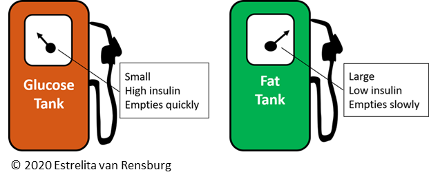 Blog Fuel tanks total NHS England COVID deaths per age group