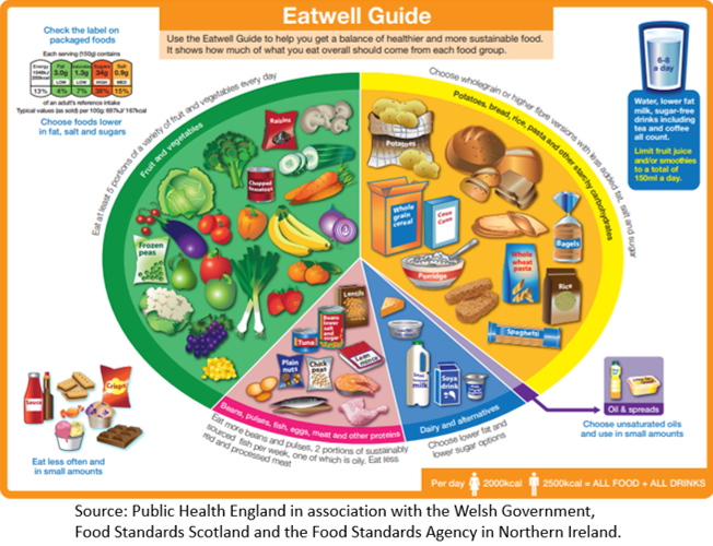 Book eatwell guide