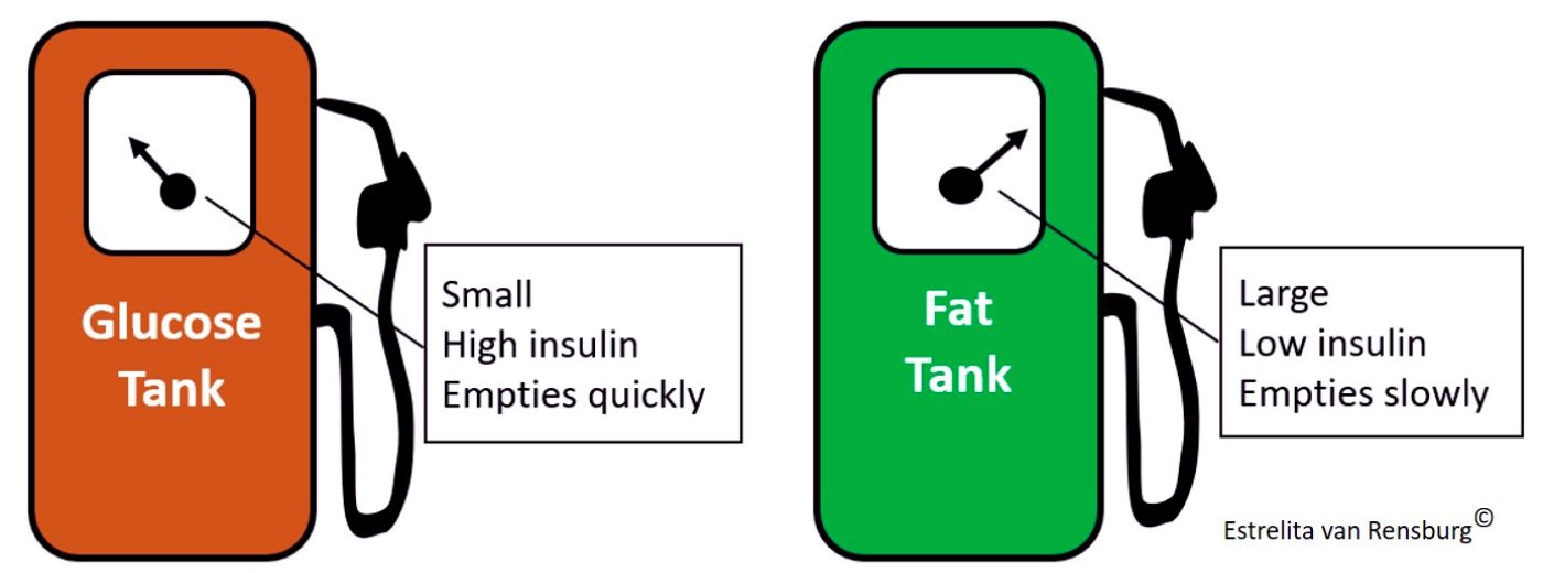 Energy levels - two fuel tanks in the body