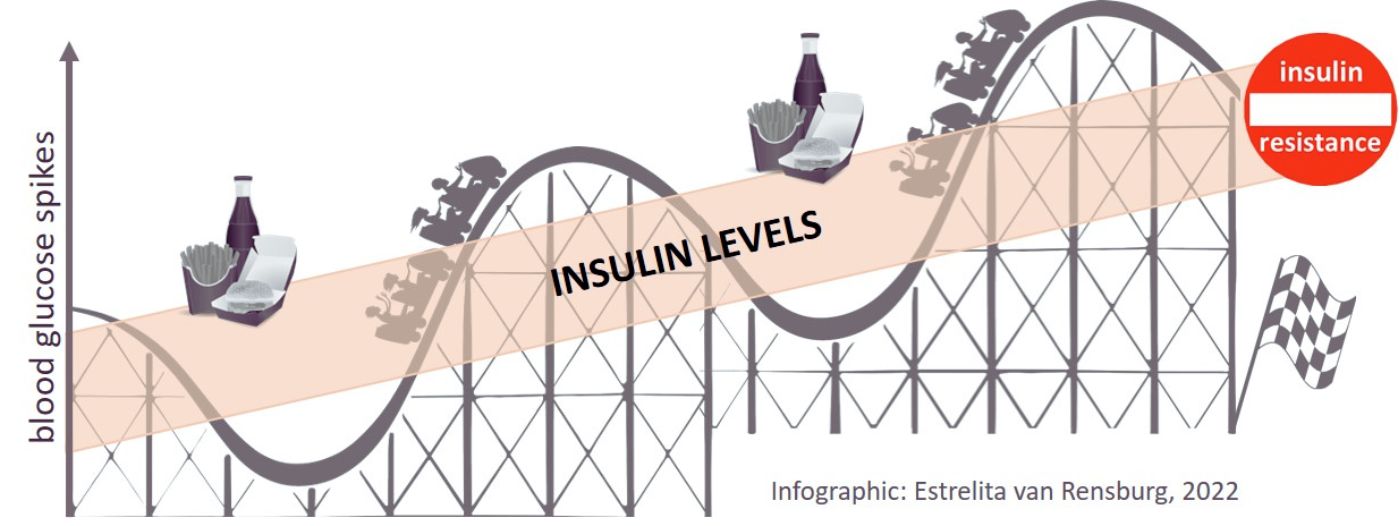Insulin resistance a precursor condition of Alzheimers dementia