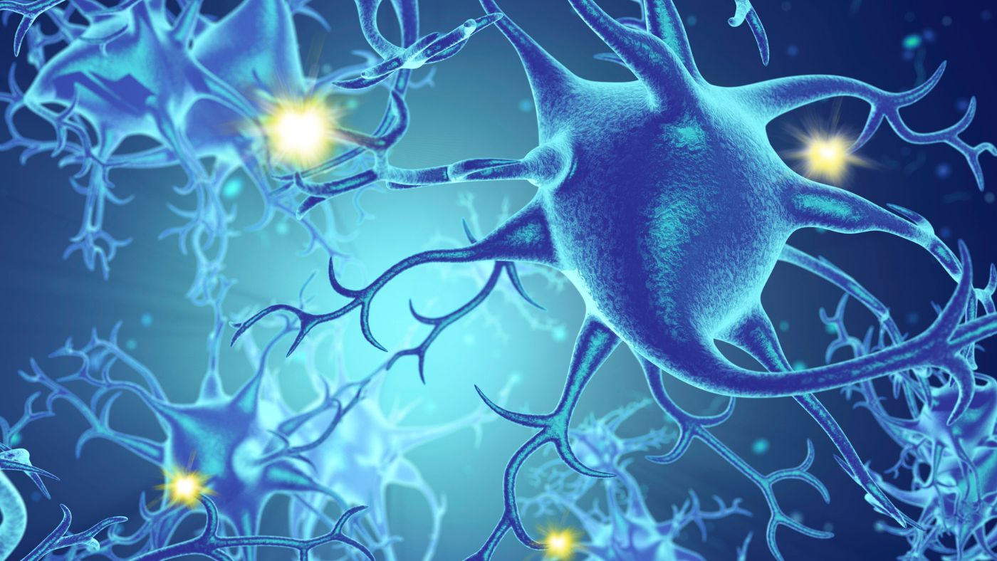 Neuroplasticity important in brain health and Alzheimers dementia prevention