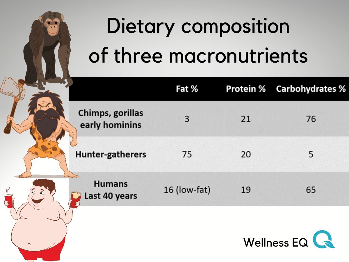 Historic diet composition